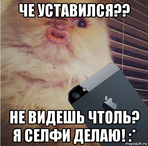 че уставился?? не видешь чтоль? я селфи делаю! :*