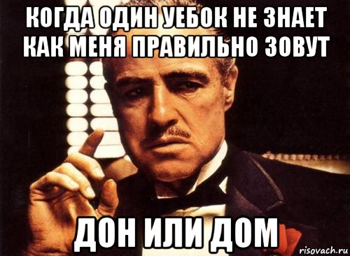 когда один уебок не знает как меня правильно зовут дон или дом, Мем крестный отец