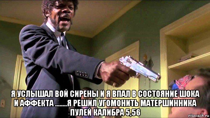  я услышал вой сирены и я впал в состояние шока и аффекта ........я решил угомонить матершинника пулей калибра 5,56