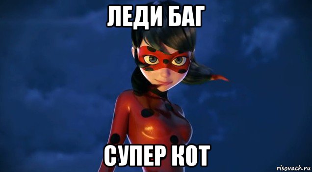 леди баг супер кот