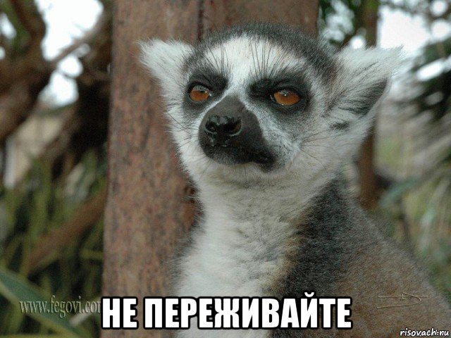  не переживайте