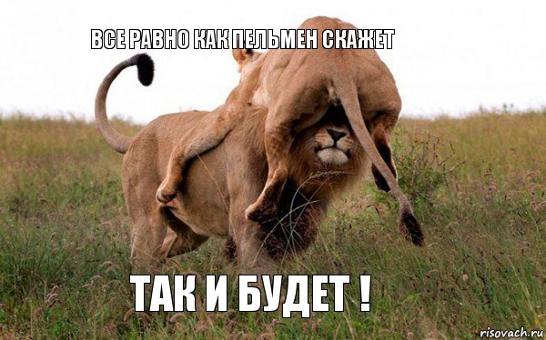 Все равно как пельмен скажет Так и будет !, Комикс Лев