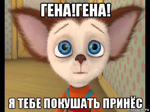 гена!гена! я тебе покушать принёс