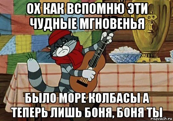 ох как вспомню эти чудные мгновенья было море колбасы а теперь лишь боня, боня ты, Мем Грустный Матроскин с гитарой