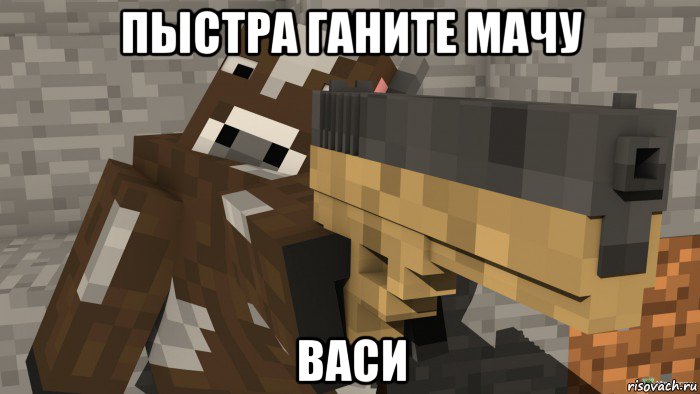 пыстра ганите мачу васи, Мем Майнкрафт