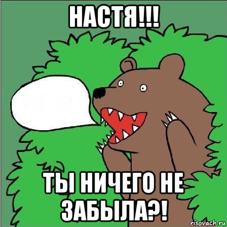 настя!!! ты ничего не забыла?!, Мем Медведь-шлюха