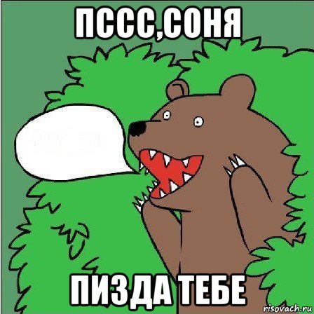 пссс,соня пизда тебе, Мем Медведь-шлюха