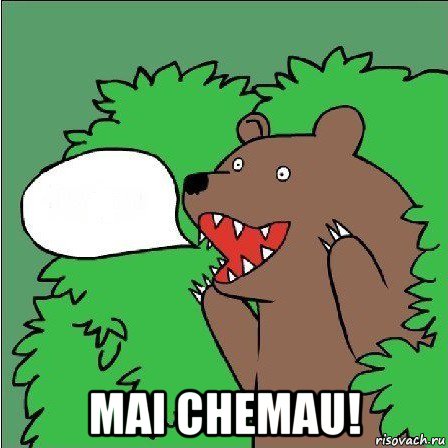  mai chemau!, Мем Медведь-шлюха