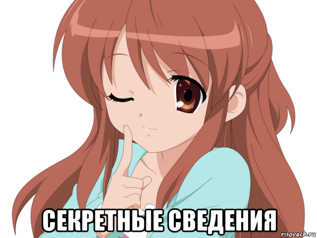  секретные сведения, Мем Микуру