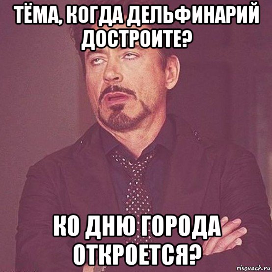тёма, когда дельфинарий достроите? ко дню города откроется?