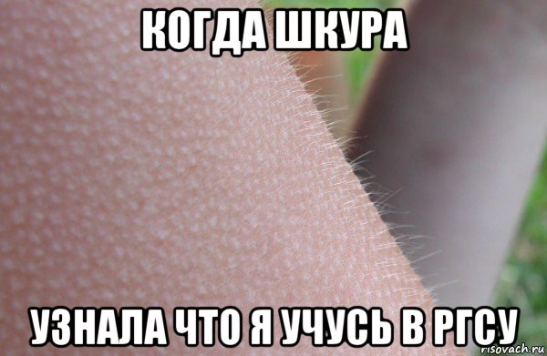 когда шкура узнала что я учусь в ргсу