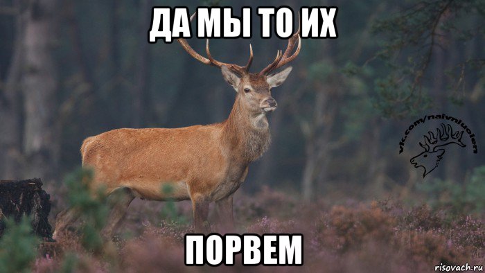 да мы то их порвем, Мем Наивный олень v3