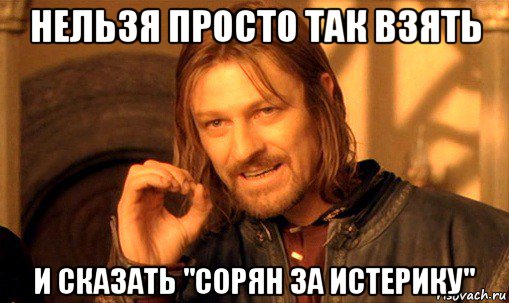 нельзя просто так взять и сказать "сорян за истерику", Мем Нельзя просто так взять и (Боромир мем)