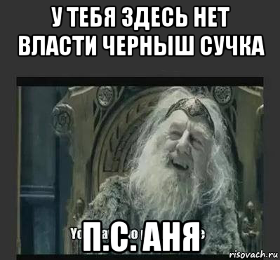 у тебя здесь нет власти черныш сучка п.с. аня, Мем нет власти