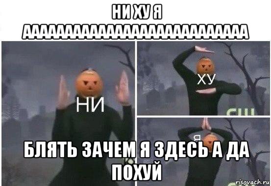 ни ху я ааааааааааааааааааааааааааа блять зачем я здесь а да похуй, Мем  Ни ху Я