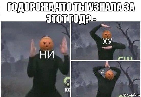 годорожа,что ты узнала за этот год? - , Мем  Ни ху Я