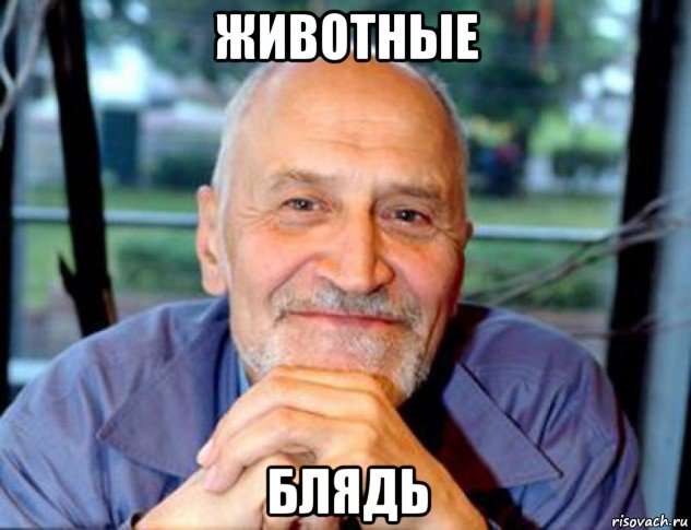 животные блядь, Мем Николай Дроздов