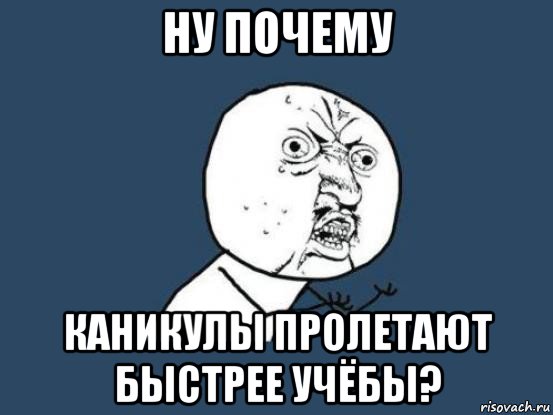 ну почему каникулы пролетают быстрее учёбы?, Мем Ну почему