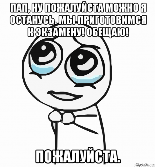 пап, ну пожалуйста можно я останусь. мы приготовимся к экзамену! обещаю! пожалуйста., Мем  ну пожалуйста (please)