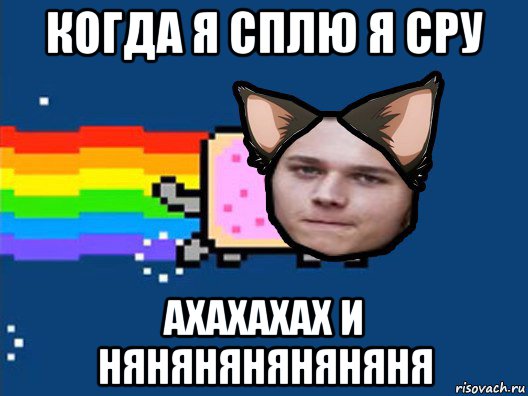 когда я сплю я сру ахахахах и няняняняняняня, Мем Нян Кэт в Реальной Жизни