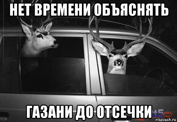 нет времени объяснять газани до отсечки
