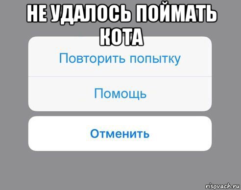 не удалось поймать кота , Мем Отменить Помощь Повторить попытку