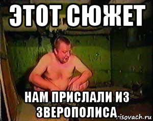 этот сюжет нам прислали из зверополиса