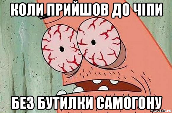 коли прийшов до чіпи без бутилки самогону, Мем  Патрик в ужасе