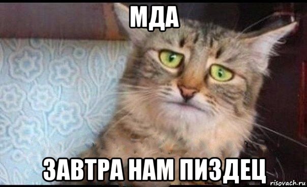 мда завтра нам пиздец