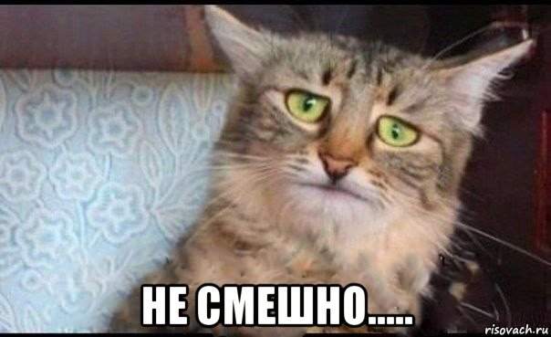  не смешно.....