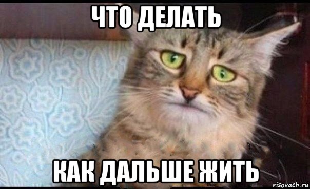 что делать как дальше жить