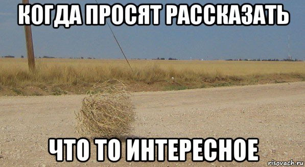 когда просят рассказать что то интересное, Мем перекати-поле одиночество