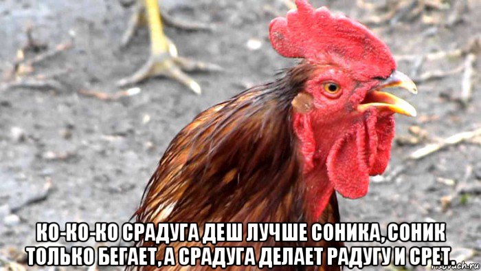  ко-ко-ко срадуга деш лучше соника, соник только бегает, а срадуга делает радугу и срет.