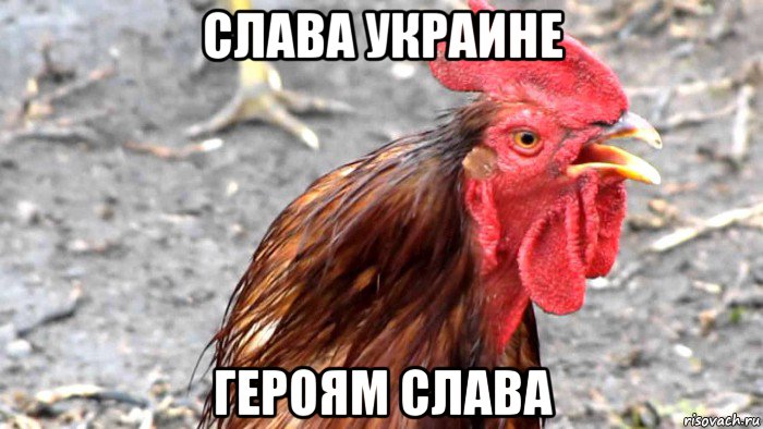 слава украине героям слава