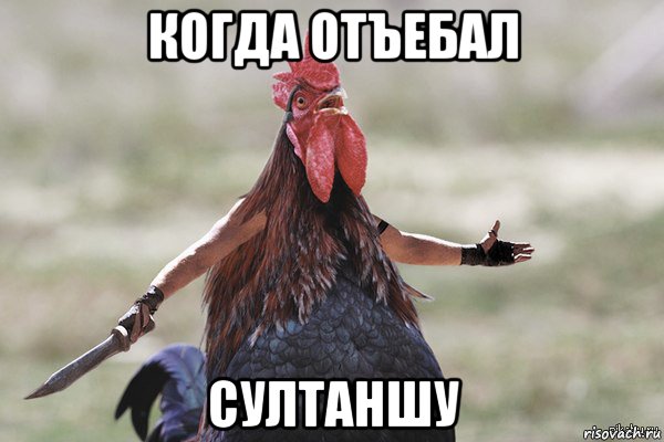 когда отъебал султаншу, Мем Петух