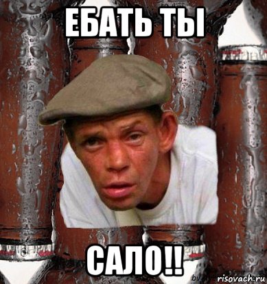 ебать ты сало!!