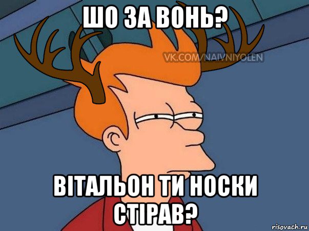 шо за вонь? вітальон ти носки стірав?, Мем  Подозрительный олень