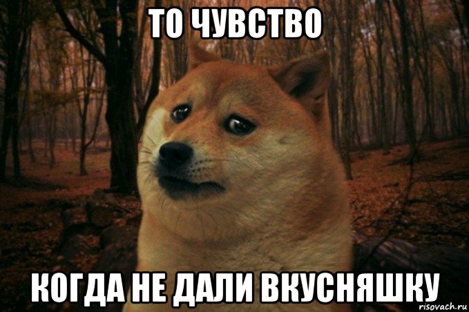 то чувство когда не дали вкусняшку, Мем SAD DOGE