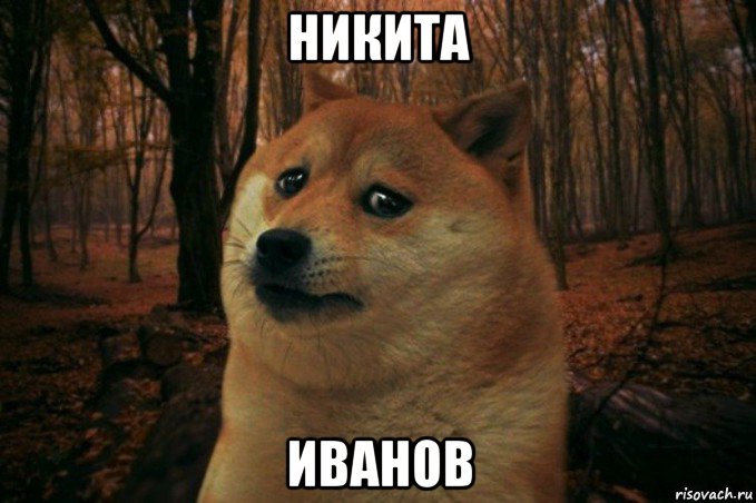 никита иванов, Мем SAD DOGE