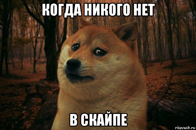 когда никого нет в скайпе, Мем SAD DOGE