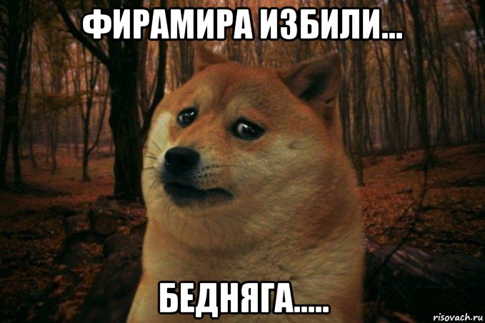 фирамира избили... бедняга....., Мем SAD DOGE