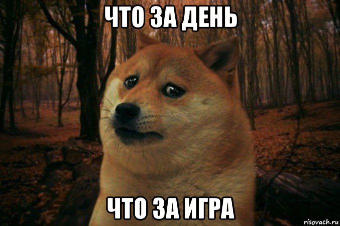 что за день что за игра, Мем SAD DOGE