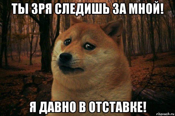 ты зря следишь за мной! я давно в отставке!, Мем SAD DOGE