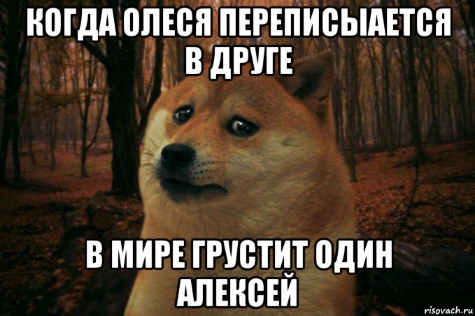 когда олеся переписыается в друге в мире грустит один алексей, Мем SAD DOGE