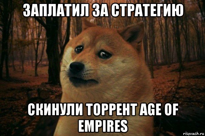 заплатил за стратегию скинули торрент age of empires, Мем SAD DOGE