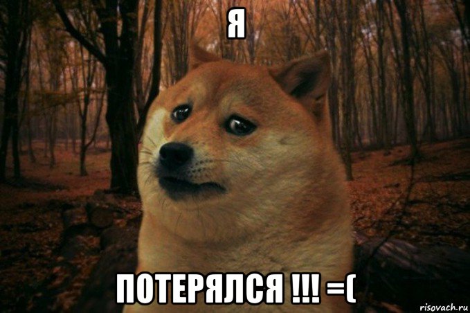 я потерялся !!! =(, Мем SAD DOGE