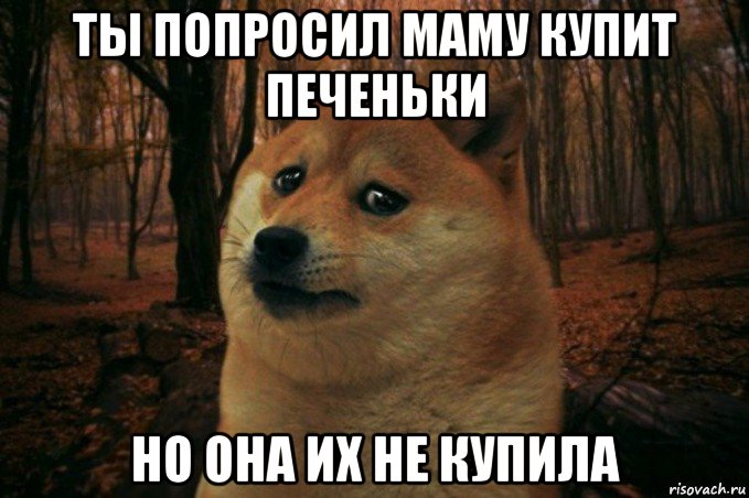 ты попросил маму купит печеньки но она их не купила, Мем SAD DOGE