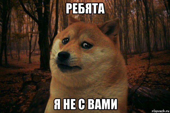 ребята я не с вами, Мем SAD DOGE