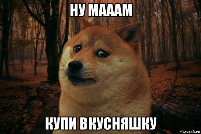 ну мааам купи вкусняшку, Мем SAD DOGE