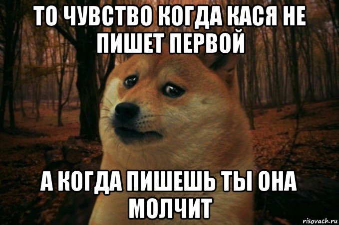 то чувство когда кася не пишет первой а когда пишешь ты она молчит, Мем SAD DOGE